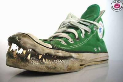 convers